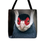 Brown Eared Pheasant Pheasant Animal Bird Plumage - Tote Bag