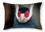 Brown Eared Pheasant Pheasant Animal Bird Plumage - Throw Pillow