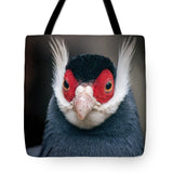 Brown Eared Pheasant Pheasant Animal Bird Plumage - Tote Bag