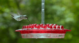 Hanging Red Hexagonal Hummingbird Feeder With Hook