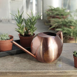 1000ML Stainless Steel Watering Pot Household Watering Can Kettle Gardening Tools for Garden Flowers Plants Veb Watering Device