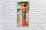 Acrylic Print