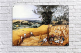 Acrylic Print