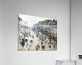 Acrylic Print
