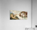 Acrylic Print