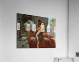 Acrylic Print