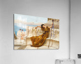 Acrylic Print