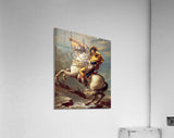 Acrylic Print