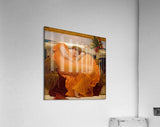Acrylic Print