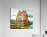 Acrylic Print