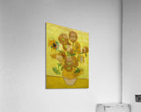 Acrylic Print