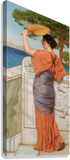 Giclée Stretched Canvas Print