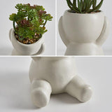 Desk Decoration Succulent Pots Flowerpots Miniature Model Home Decoration Ornaments Office Display Decoration Figurines