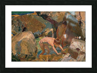 491853 :: Framed Print