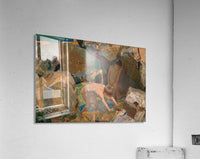 491853 :: Acrylic Print