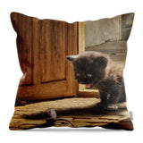 Animal Cat Mouse Play Cute Funny Kitten - Throw Pillow