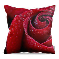 Rose Flower Dew Dewdrops Droplets Wet Petals - Throw Pillow