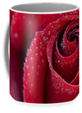 Rose Flower Dew Dewdrops Droplets Wet Petals - Mug