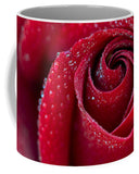 Rose Flower Dew Dewdrops Droplets Wet Petals - Mug