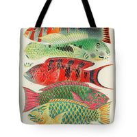 The Great Barrier Reef of Australia Chromo XV 1893 William Saville-Kent - Tote Bag