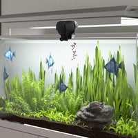 Alimentador automático digital de peces de acuario
