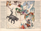 Decorative medieval star chart  astrology 17