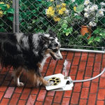 Fontaine d'eau pour chien en plein air