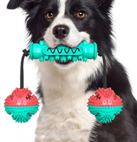 Juguetes para masticar perros Cepillo de dientes para mascotas Huesos de goma Limpieza de dientes