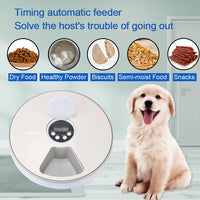 Distributeur automatique de chronométrage rond pour animaux de compagnie avec enregistreur vocal à 6 grilles