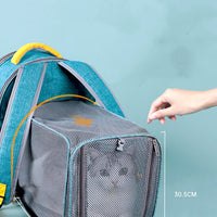 带内部安全皮带的可折叠透明网窗宠物背包