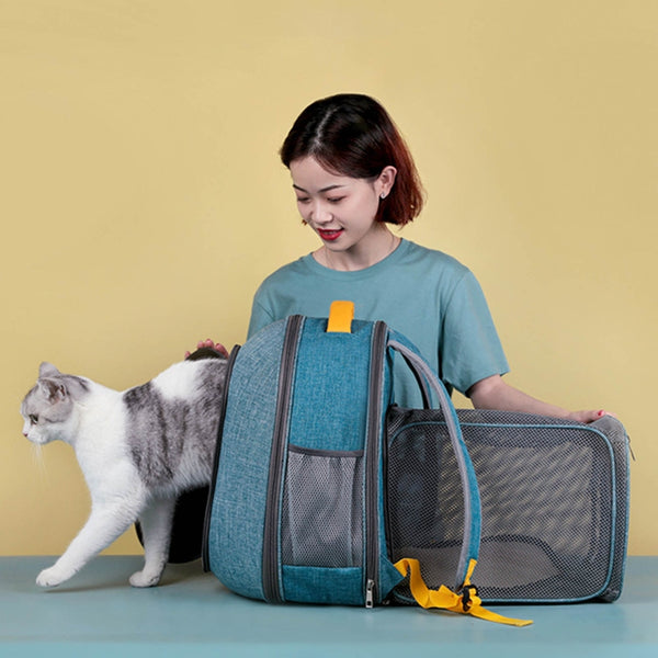 Foldable Transparent Mesh Window Pet Backpack with Inner Safety Leash