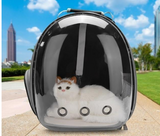 Mačja torba Polno prozorna torba za hišne ljubljenčke