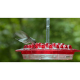 Mangiatoia per colibrì esagonale rossa da appendere con gancio