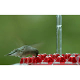 Mangiatoia per colibrì esagonale rossa da appendere con gancio