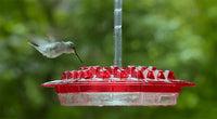 Hængende rød sekskantet kolibriføder med krog