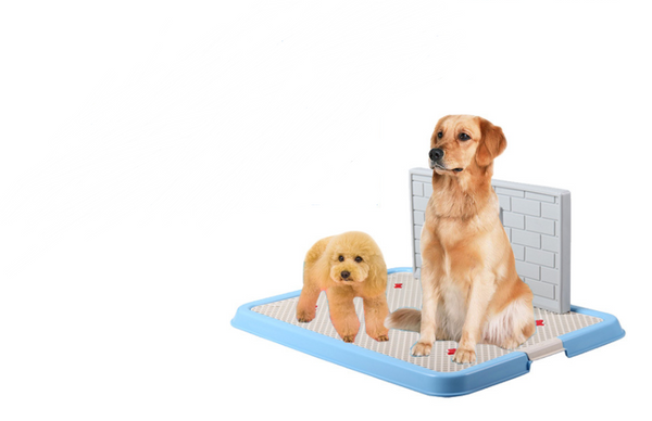 Dog Toilet Puppy Dog Supplies Teddy Dog Urinal Potty Golden Hair Puppies