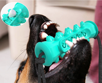 Dog Chew Toys Pet Toothbrush Rubber Bones Teeth Cleaning