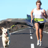 Hands-free λουρί για τρέξιμο για σκύλους με ρυθμιζόμενη τσέπη στη μέση και μπάντζι που απορροφά τους κραδασμούς