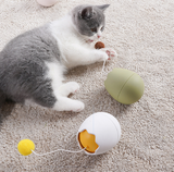 Jucării amuzante pentru pisici artefacte