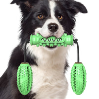 Hund tyggeleker Pet tannbørste gummi bein tannrengjøring