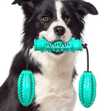 Кучиња за џвакање играчки Чистење на заби со гумени коски за четка за заби за домашни миленици