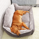 Sofa lova šuniui