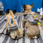 Pet Self Backpack Schnauzer პატარა და საშუალო ზომის ძაღლის Corgi ჩანთა