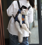 Portable cat backpack for spring outing