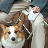 Corretja per a gos Corretja retràctil i collaret per a gos Spotlight Corda de tracció automàtica per a gossos de mascotes per a gossos petits i mitjans Producte per a mascotes