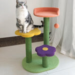 Cat Tower Cat Scratch Board ба фарсудашавӣ тобовар Cat кӯҳнавардӣ дарахт