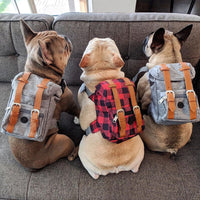 Pet Self Backpack Schnauzer Kleine en middelgrote hond Corgi Bag