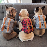 Сумка Pet Self Backpack для сабак малога і сярэдняга памеру Corgi Bag