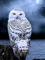DIY Full Drill Diamond Painting 5D Owl DIY Diamond Art Animal Mosaic Home Decor