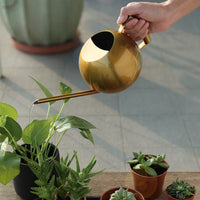 1000ML en acier inoxydable arrosoir ménage arrosoir bouilloire outils de jardinage pour jardin fleurs plantes Veb dispositif d'arrosage